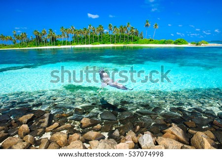 Beautiful tropical Maldives island with beach , sea , and coconut palm tree on blue sky for nature holiday vacation