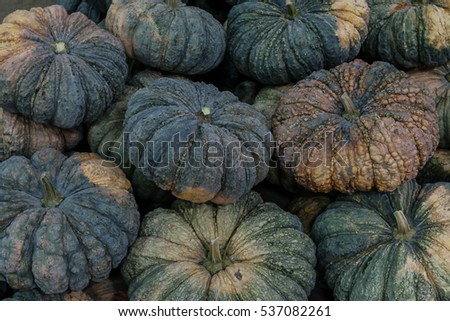 Thai pumpkin in the market
