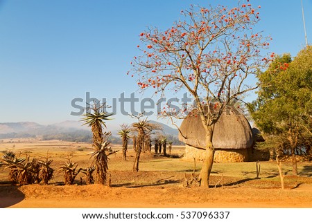 blur in swaziland   mlilwane wildlife   nature  reserve mountain and tree Royalty-Free Stock Photo #537096337