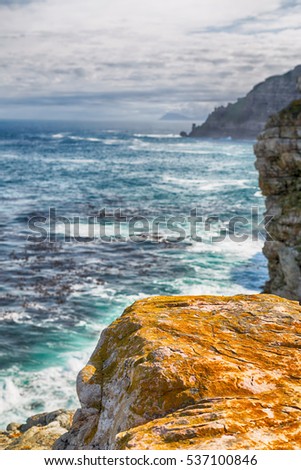 blur     in south africa coastline cape of good hope  and natural park reserve