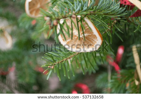 closeup of christmas decoration in a christmas tree