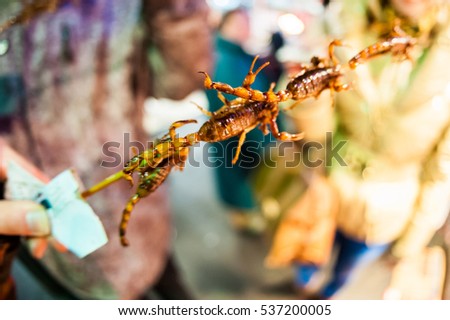 The Chinese market, fried scorpions on stick, exotic food concept