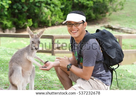 Young asian man wearing glasses is feeding Kangaroo in a park. Exchange student in Australia.