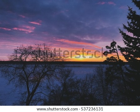 Trees silhouettes over beautiful sunrise background. Copyspace