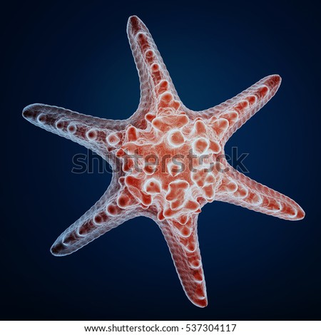 3d rendering of a starfish