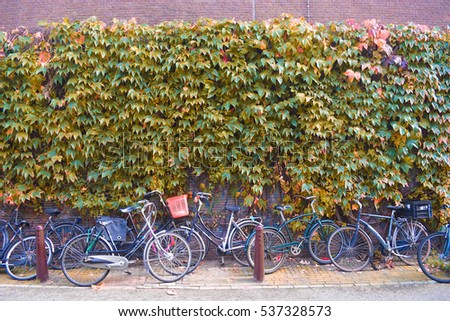 Amsterdam Parked Bikes