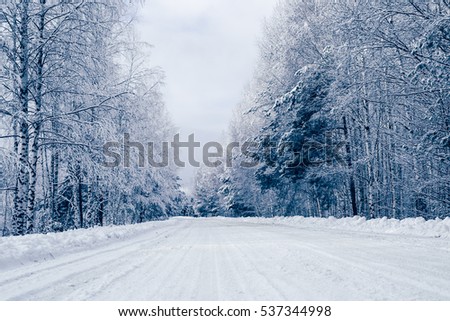 Winter road forest