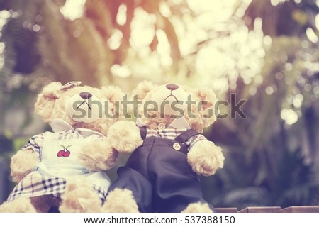 Cute couple teddy bear with green wood background,with sun lighting,vintage toned style