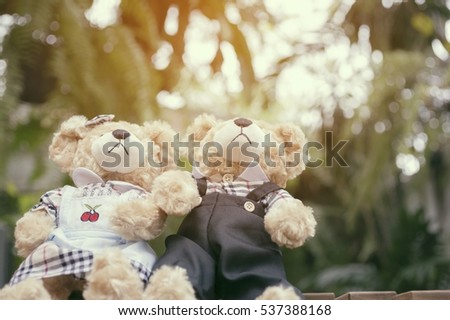 Cute couple teddy bear with green wood background,with sun lighting,vintage toned style