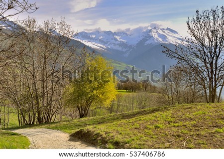 footpath crossing meadow with mountain pics background 