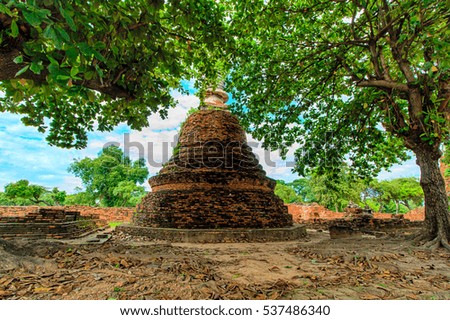 Ancient pagoda are behind of tree in Ayutthaya, Thailand. This has blue sky be background and ground be foreground of picture.