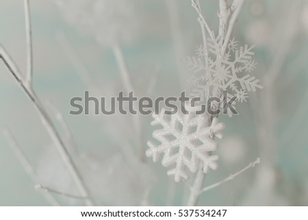 Christmas decoration snowflake
New Year background
white plastic snowflake hanging on a branch
background for New Year's postcard
the silver snowflake is covered with an inertia
artificial snow
