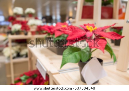blue picture of Christmas tree or Plastic Poinsettia plastic flowers display showroom in furniture mall
