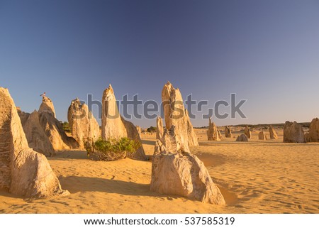 Pinnacles Desert at Nambung National Park in Australia