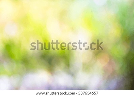 Nature blurry background,Abstract background from tree,Green nature background