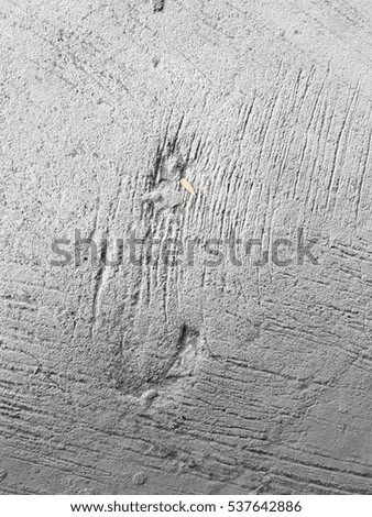 Cement texture used for background and design