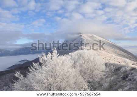 winter scene: mountain and forest with hoar-frost on trees