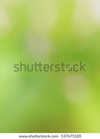 Natural Green Background. Bokeh