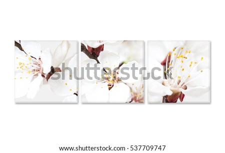 Group of frames with spring flowers blossom pictures. Floral decoration, canvas style interior mock up