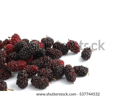 mulberry isolated on the white background . 