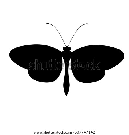 silhouette of butterfly icon over white background. vector illustration