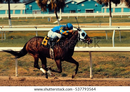 Racehorse with Jockey