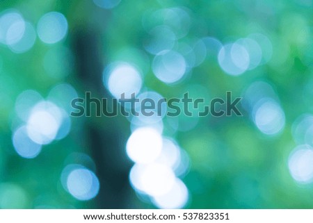 blue natural background of out of focus forest or bokeh