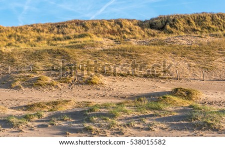 Sunny landscape picture from the dunes at the beach in the Netherlands. Blue sky at the background. 