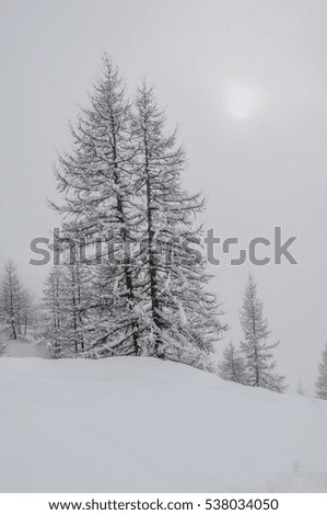 winter snow landscape 