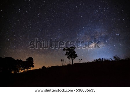 Beautiful milky way and silhouette of tree on a night sky before sunrise
