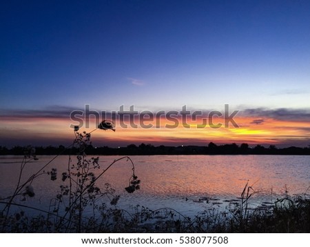 Flower silhouettes in the lake on twilight background.