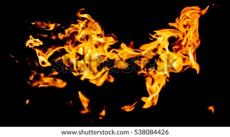 fire on a black background, fire dance