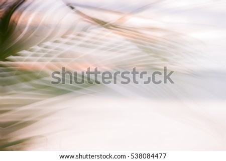 Abstract palm tree in motion against sunlight backgound. Dynamic pattern, blurred leaves moving in wind, for vintage concept business blog, design templates, social media. Image with filter effect