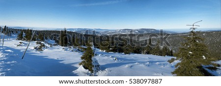 Snow-covered landscape