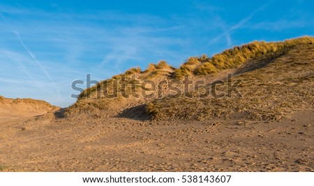 Sunny landscape picture from the dunes at the beach in the Netherlands. Blue sky at the background. 