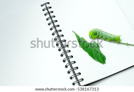 Caterpillar, Big green worm, Giant green worm on white book