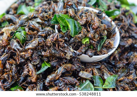Fried crickets on street food of Thailand.