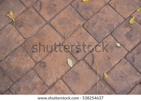 Brick pattern, Picture of brick wall and animal footprint