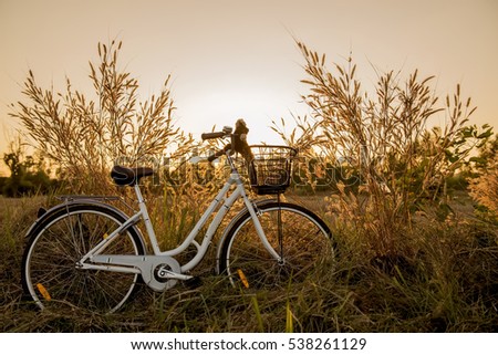 White bike in the field,at sunset