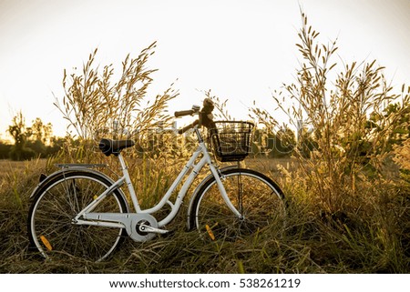 White bike in the field,at sunset
