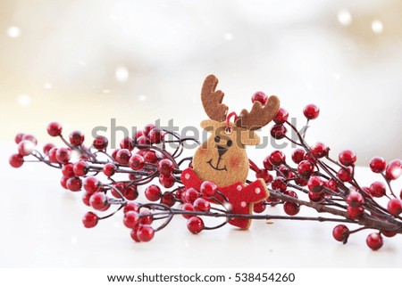 Funny Christmas reindeer