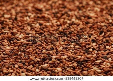 sesame oilseed texture