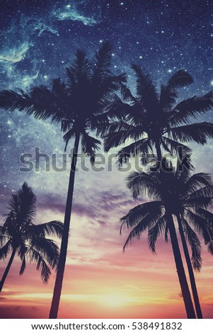 Silhouette of palm trees at sunset and stars. Matte vintage photo processing.