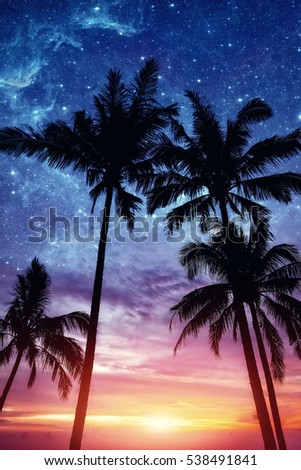 Silhouette of palm trees at sunset and stars