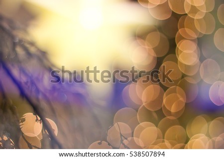 Christmas and New Year's star is shining brightly. Festive colored lights and gold. Blurred images and beautiful bokeh.