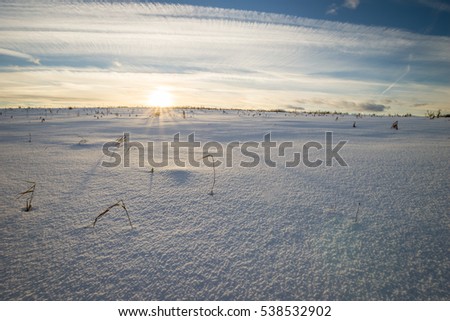 Scene of a beautiful sunset at field covered with snow with trees at winter season