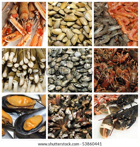a collage of nine pictures of different seafood