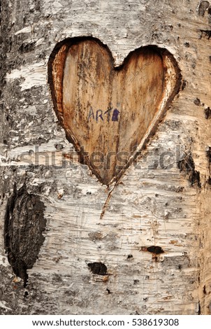 Outdoor, creativity and love concept - a heart etched on a tree.