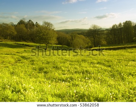 Green landscape background