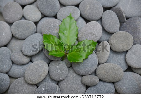 Green leaves and gray background